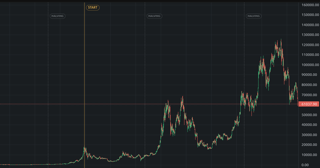 The Bitcoin daily chart, with cycles and halvings.