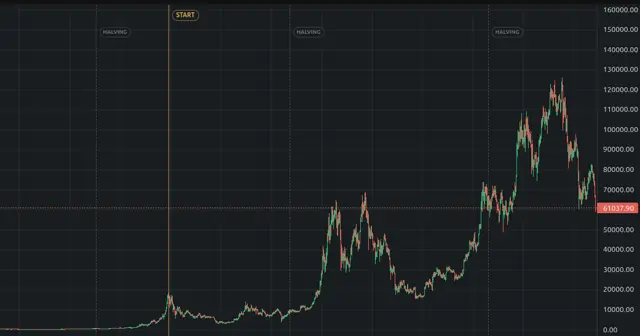 The Bitcoin daily chart, with cycles and halvings.